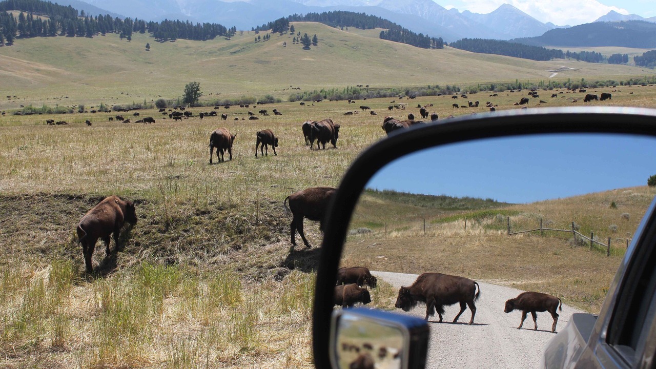 Photo of Others in Gallatin Gateway