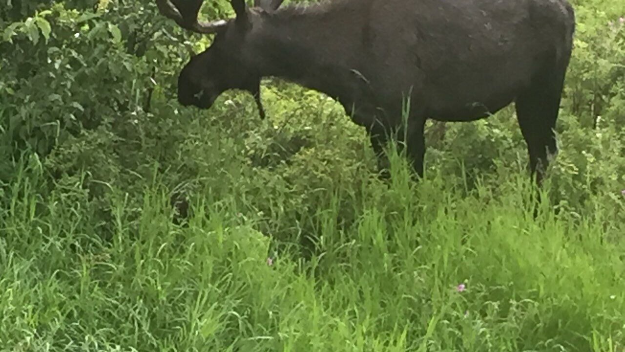 Photo of Others in Gallatin Gateway