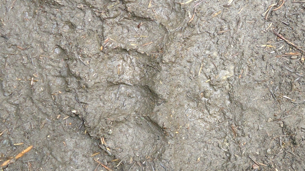 Photo of Others in Gallatin Gateway