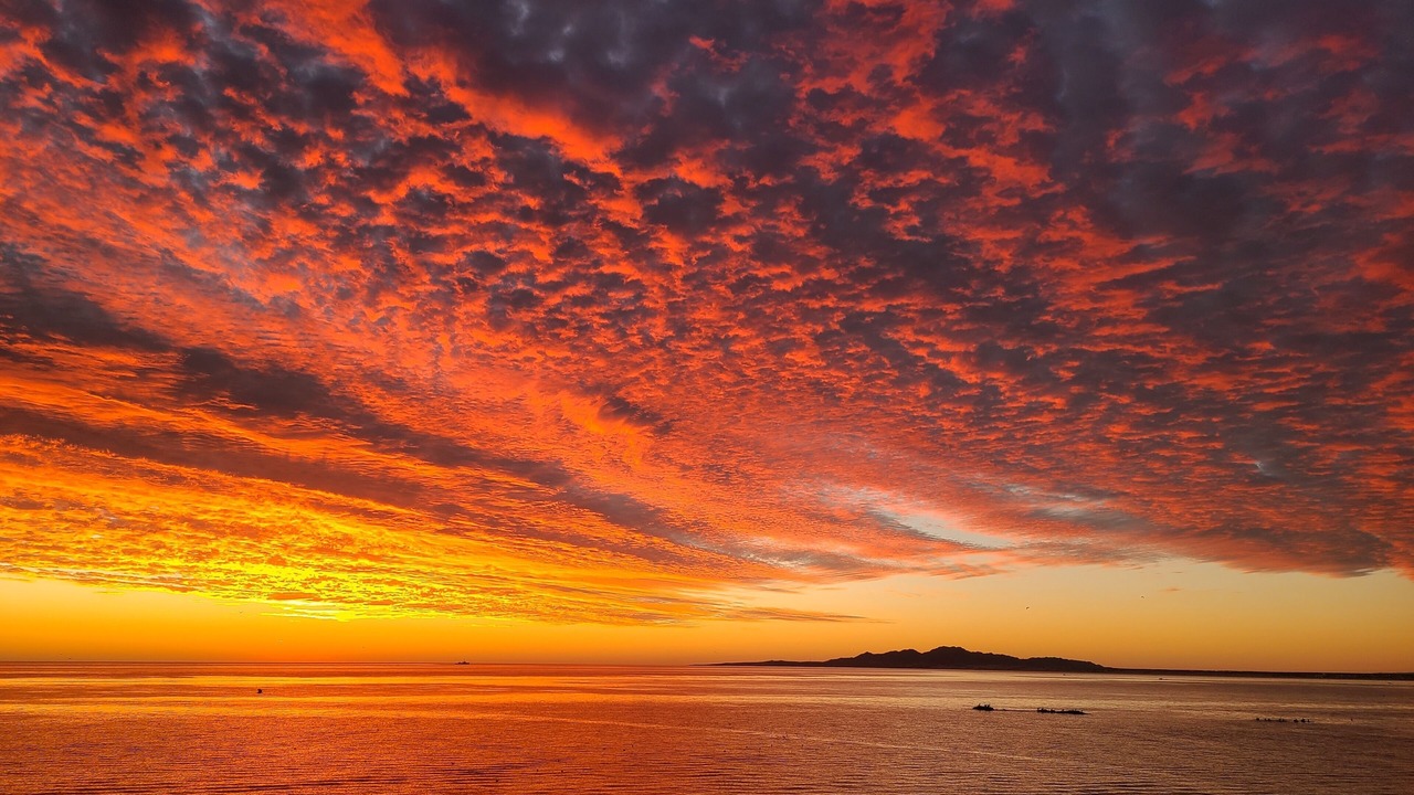 Photo of Others in Segunda Seccion