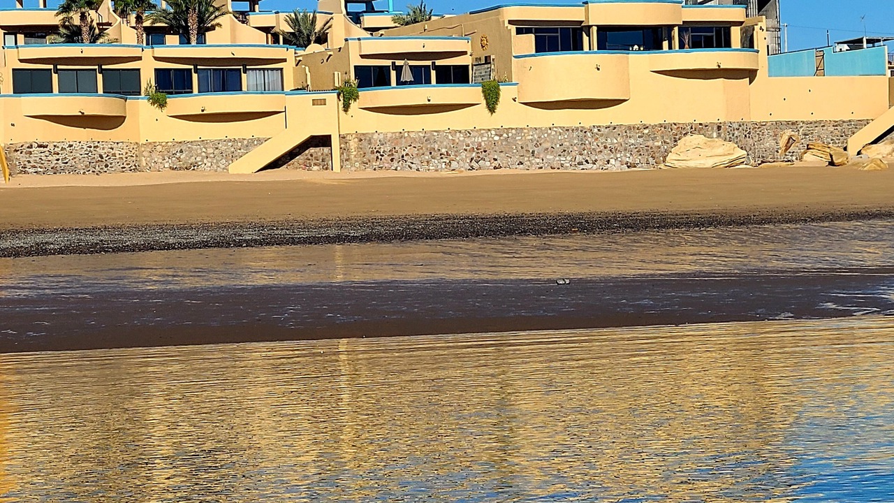 Photo of Others in Segunda Seccion