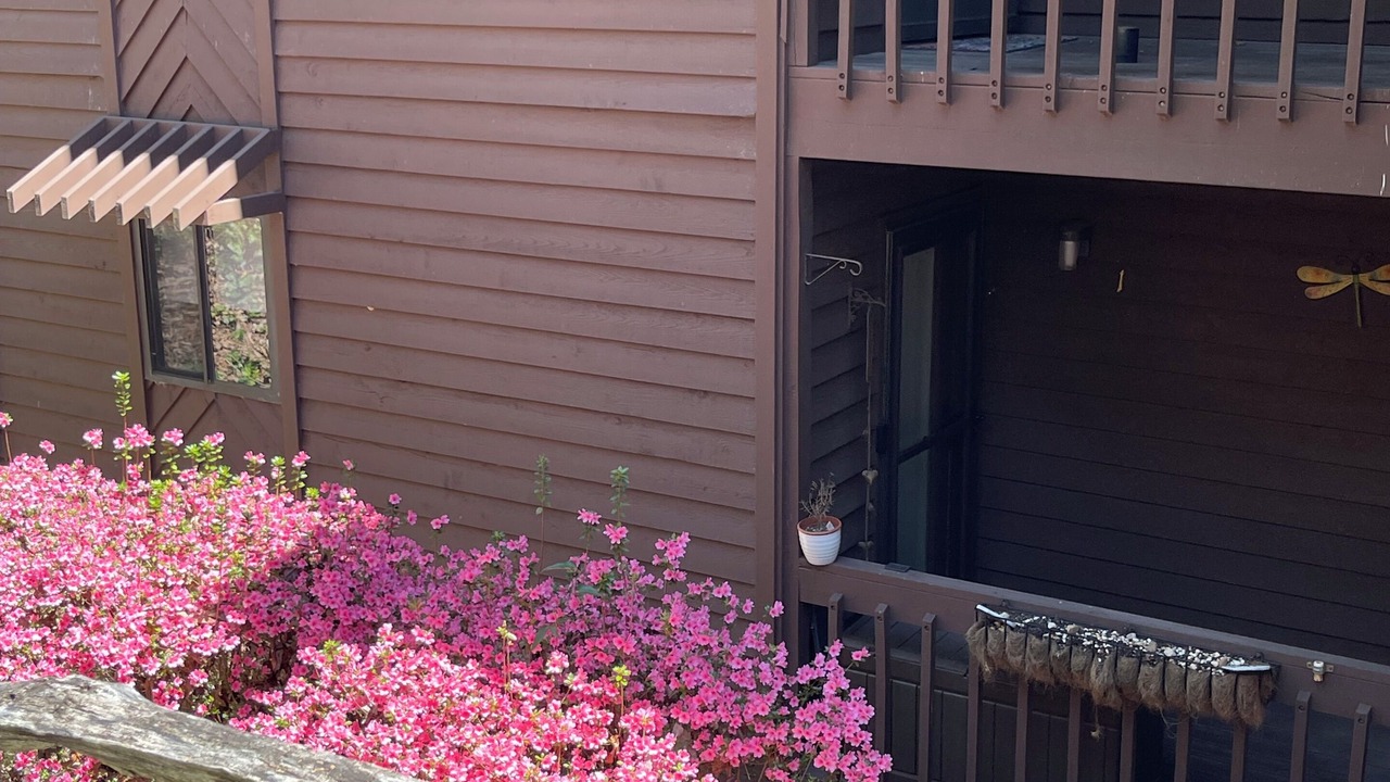 Photo of Outdoor in Lake Toxaway