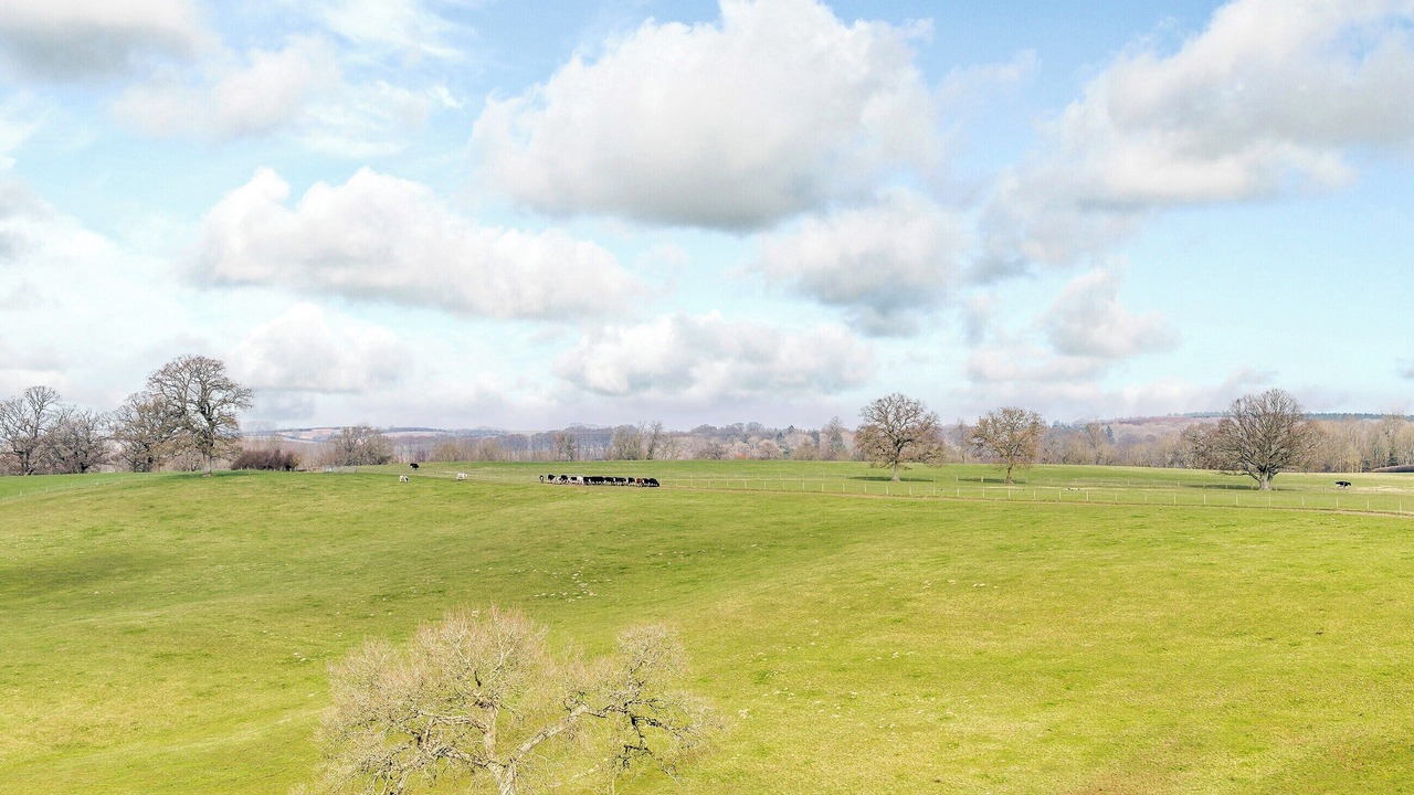 Photo of Others in Alderbury