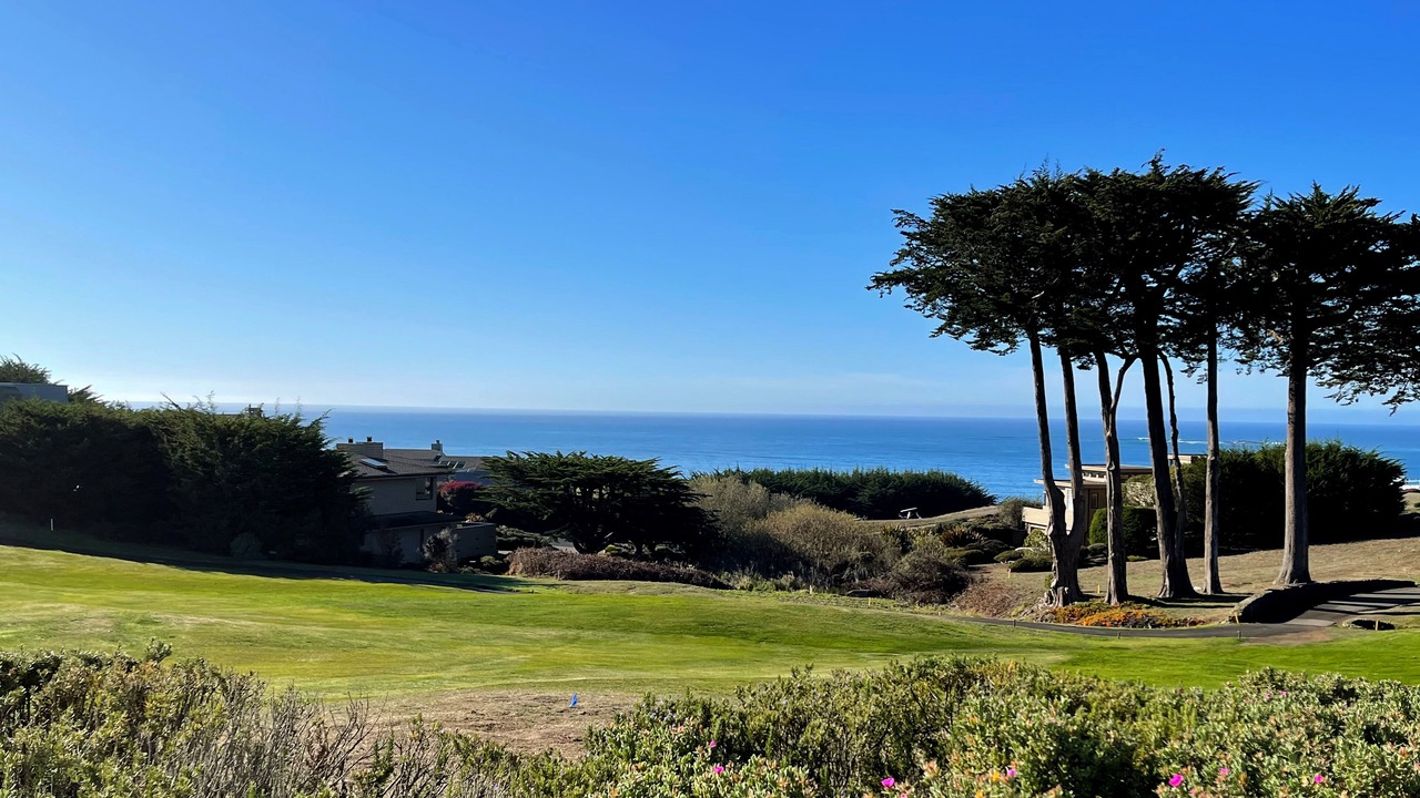 Photo of Others in Bodega Bay