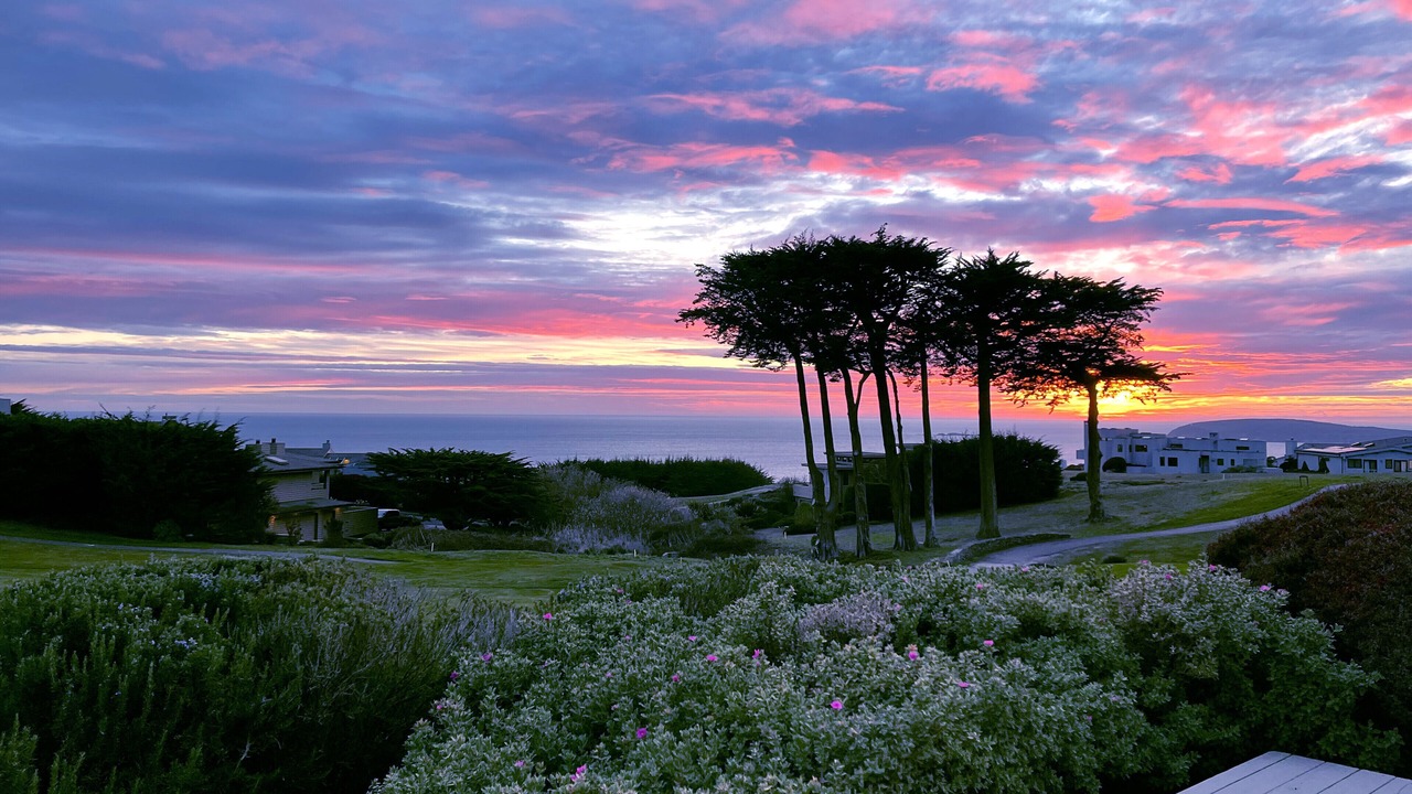 Photo of Others in Bodega Bay