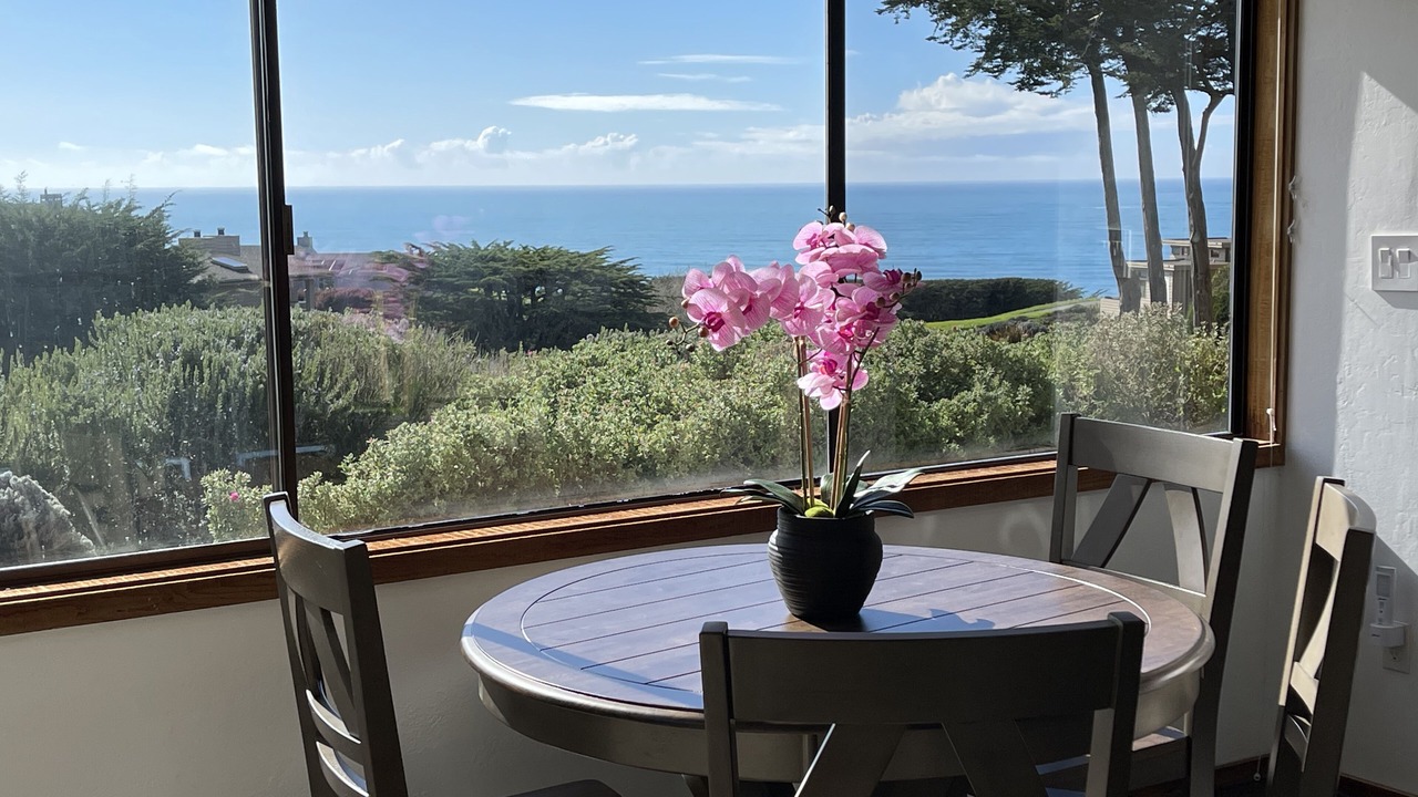 Photo of Others in Bodega Bay