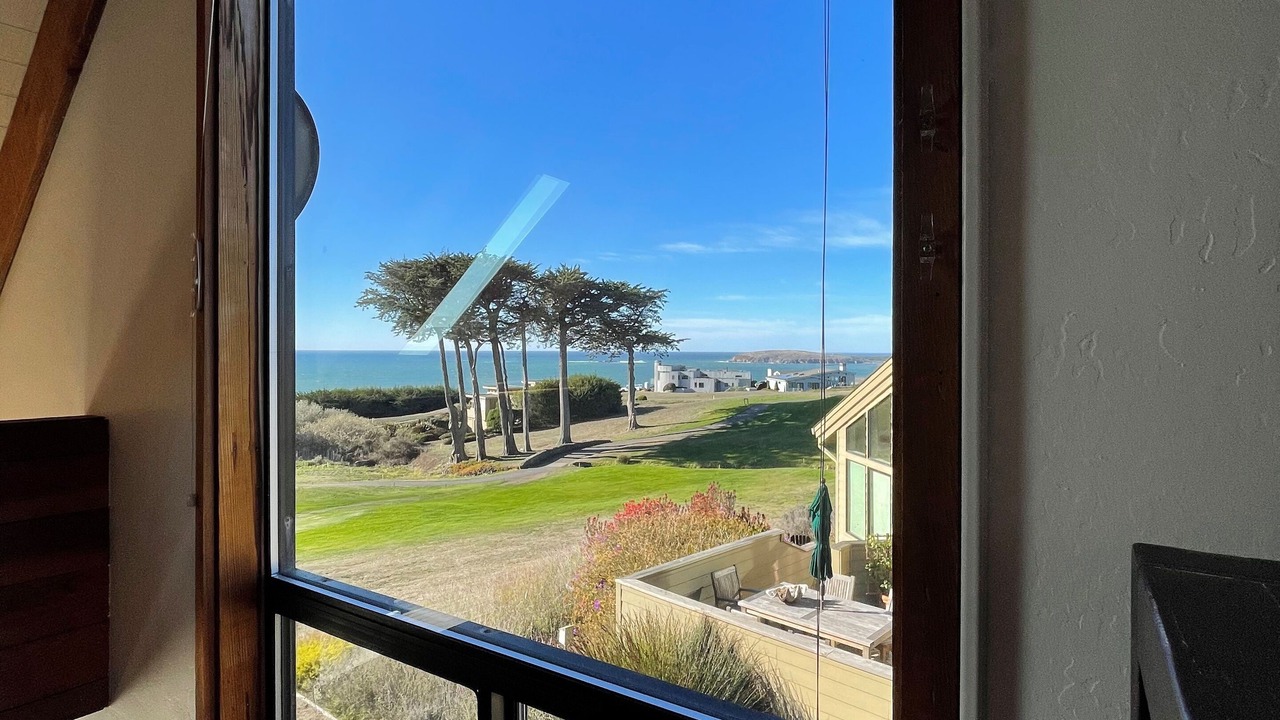 Photo of Others in Bodega Bay