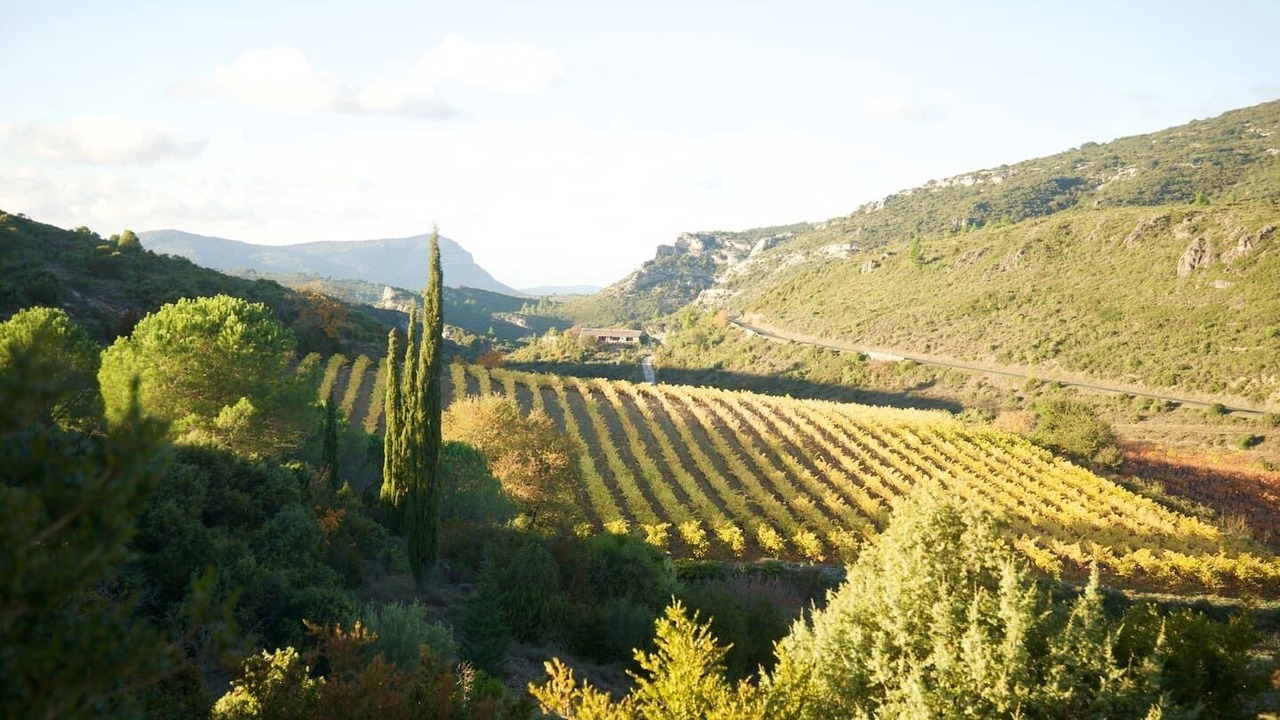Photo of Others in Peyriac-de-Mer