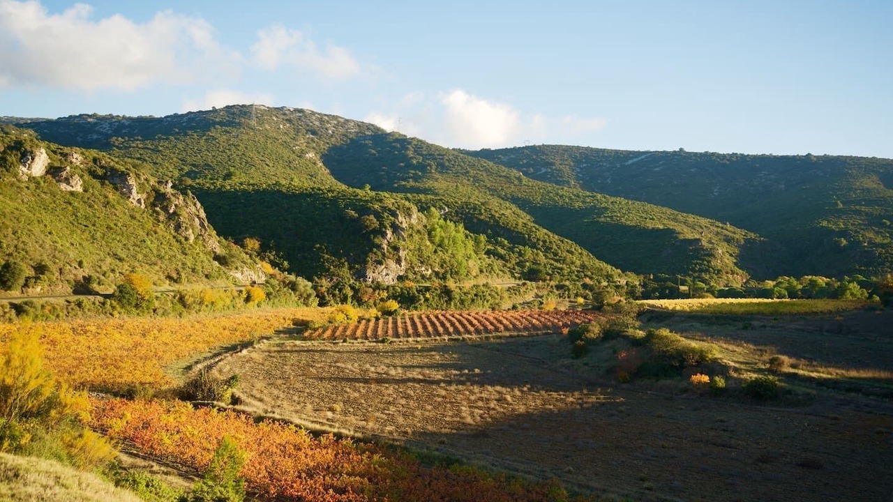 Photo of Others in Peyriac-de-Mer