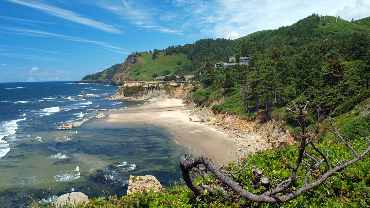 Photo of Others in Newport