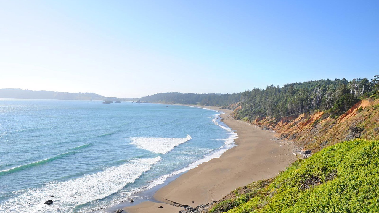 Photo of Others in Newport