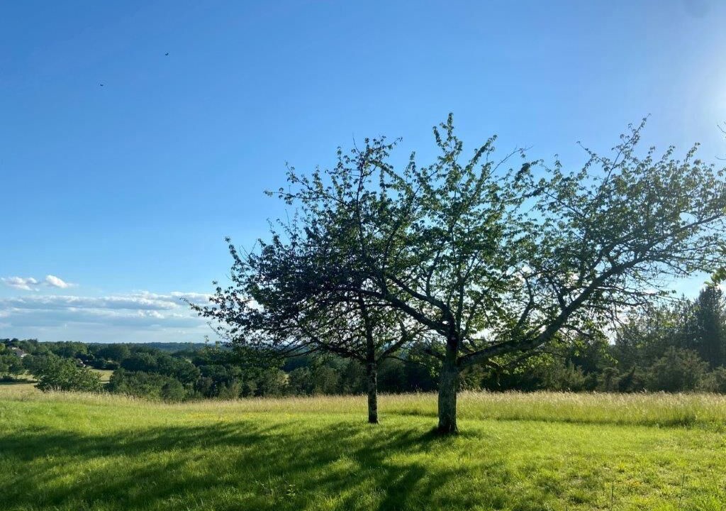 Photo of Outdoor in Nadaillac-de-Rouge