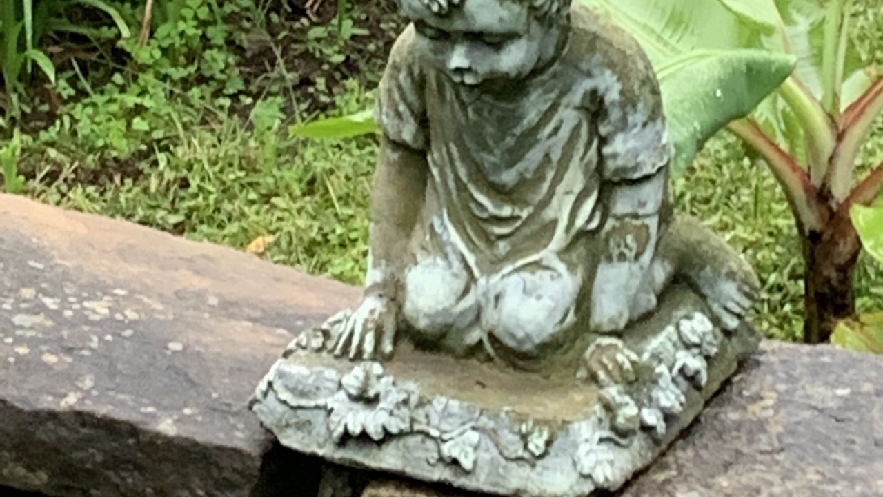 Photo of Outdoor in Warrenton
