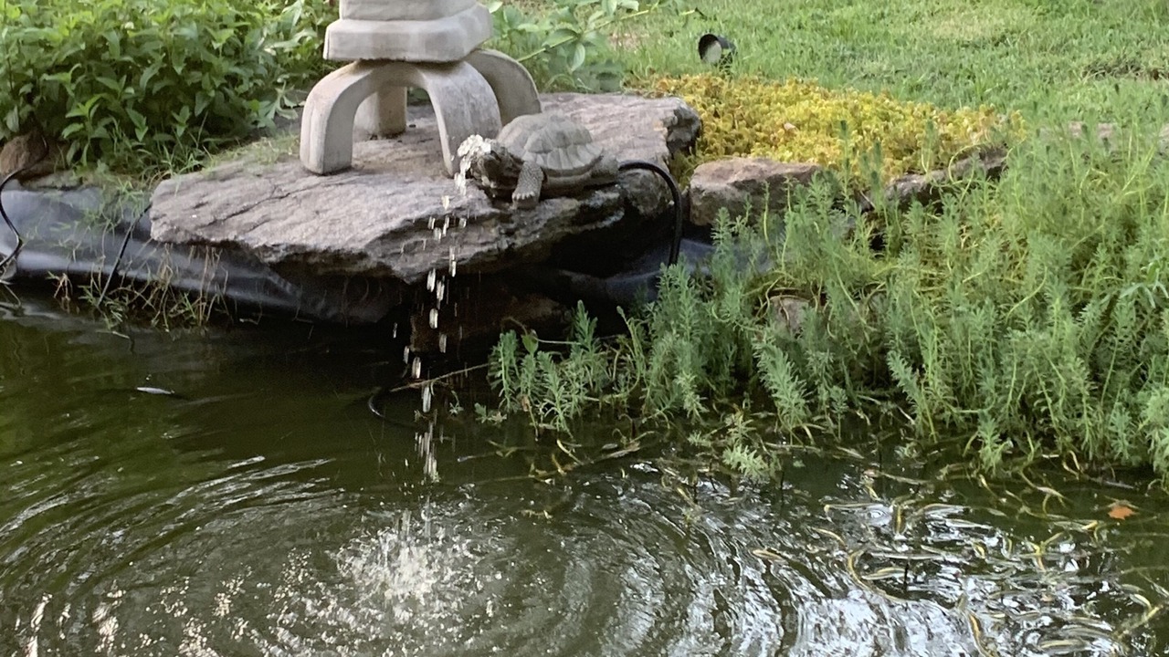 Photo of Outdoor in Warrenton
