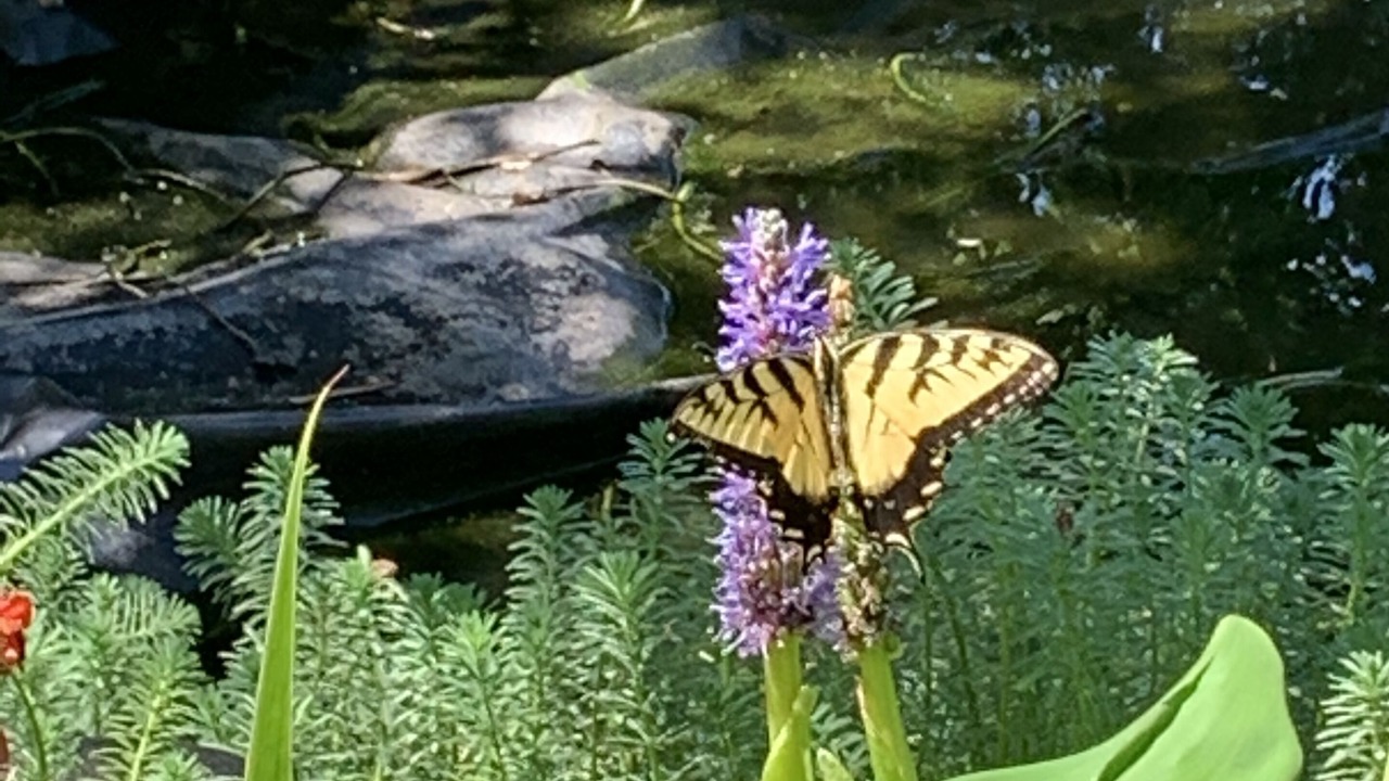 Photo of Outdoor in Warrenton