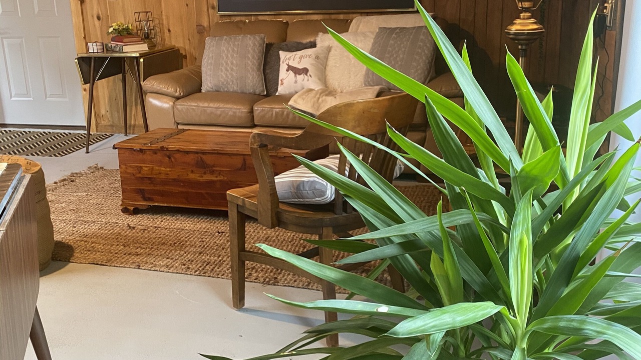 Photo of Livingroom in Columbia