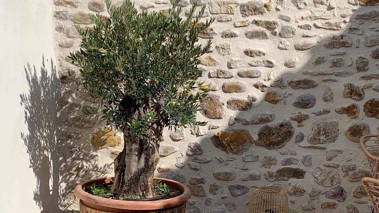 Photo of Patio Balcony in Allegre Les Fumades