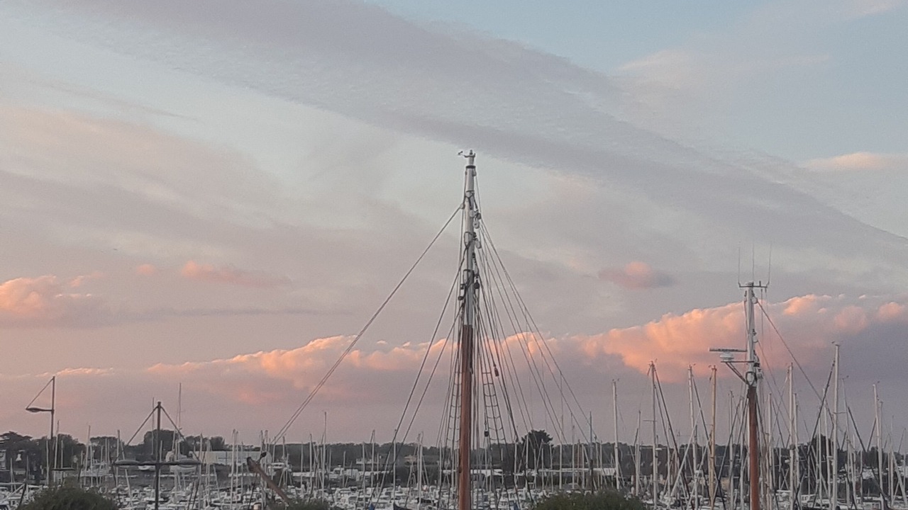 Photo of Others in Saint-Vaast-la-Hougue