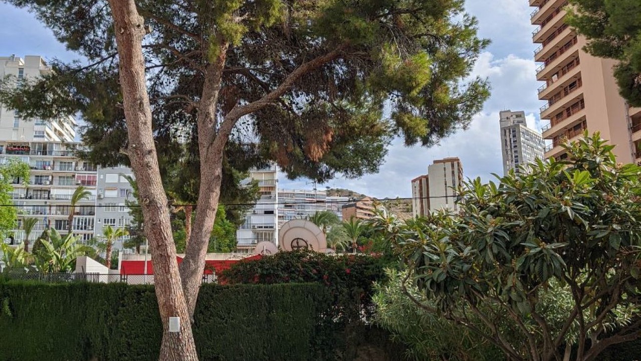 Photo of Outdoor in Rincon de Loix