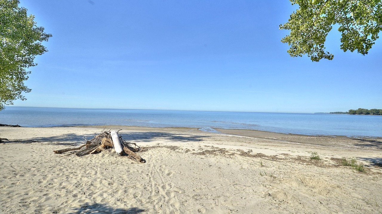 Photo of Others in Fort Erie