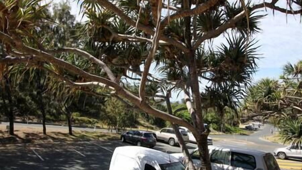 Photo of Outdoor in Point Lookout