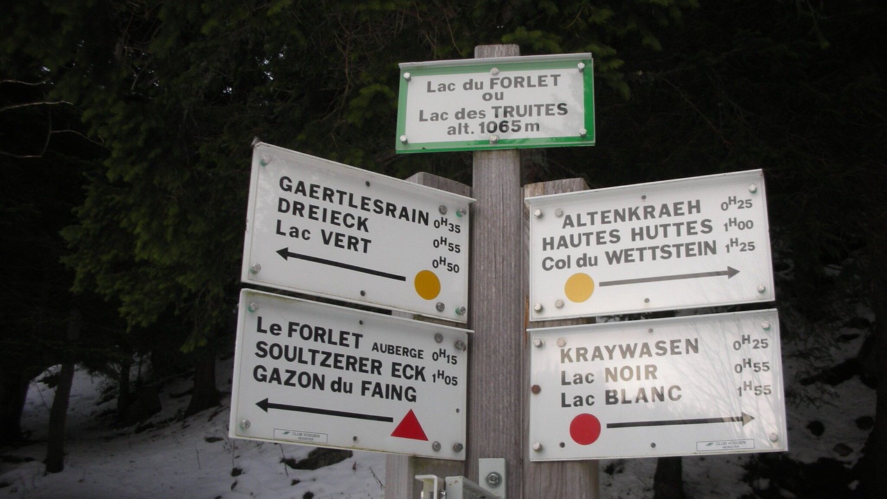 Photo of Outdoor in Hohrodberg