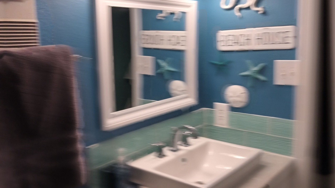 Photo of Bathroom in Gulf Lagoon Beach