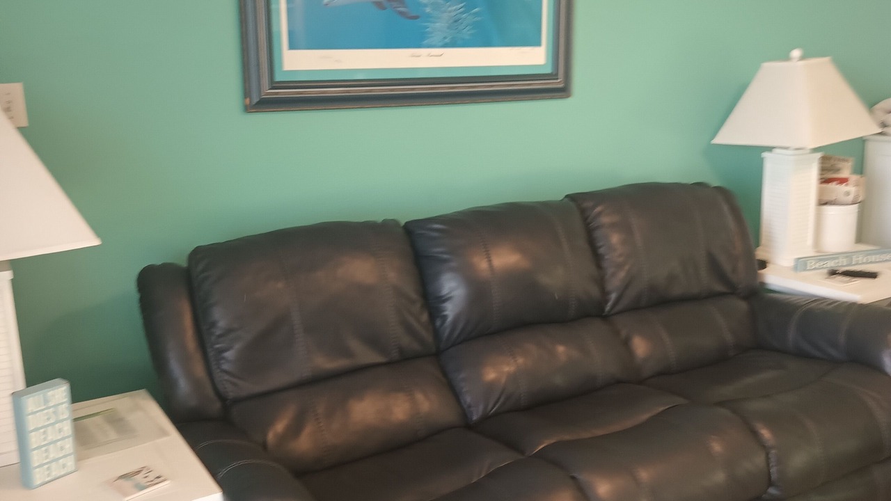 Photo of Livingroom in Gulf Lagoon Beach