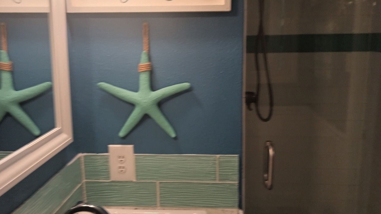 Photo of Bathroom in Gulf Lagoon Beach