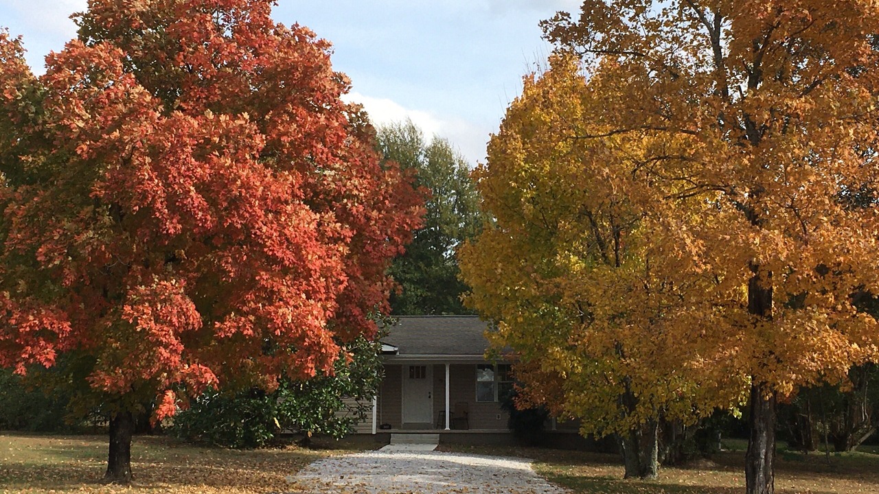 Photo of Outdoor in Mountain View