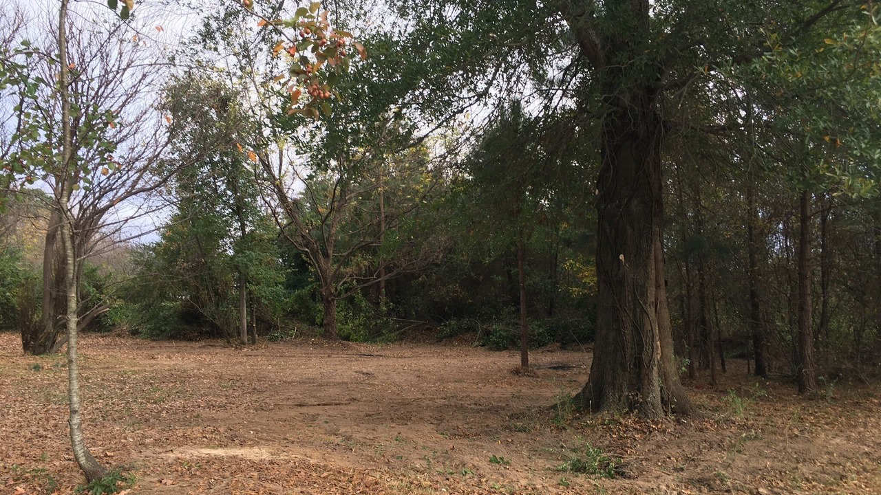 Photo of Outdoor in Mountain View