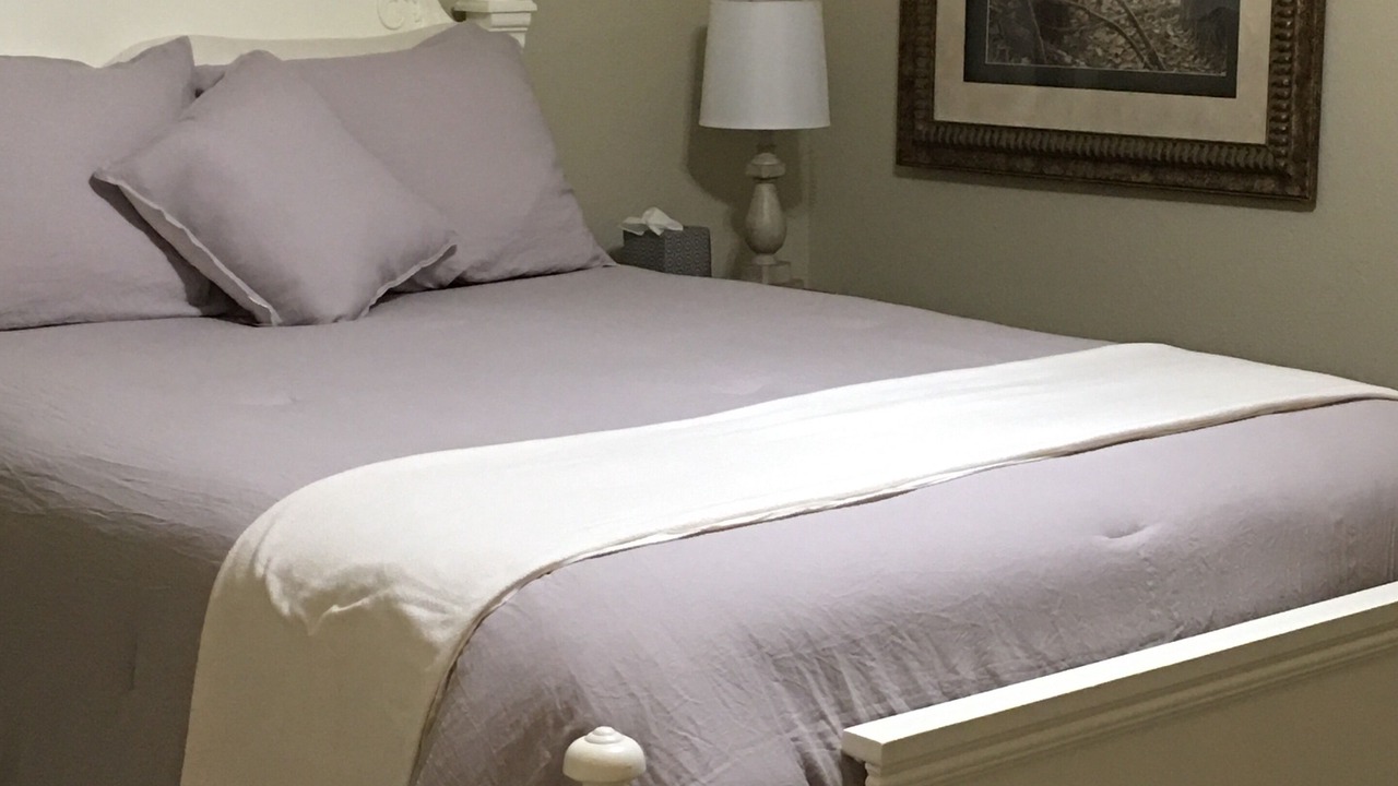 Photo of Bedroom in Mountain View