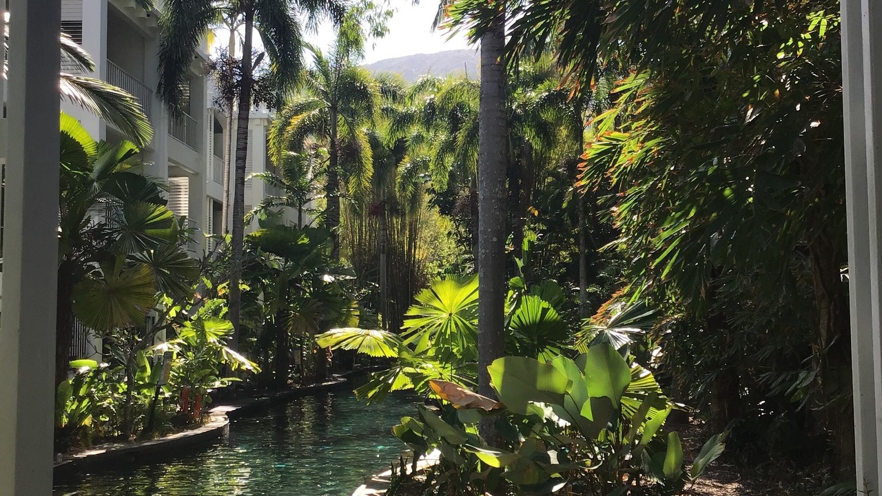 Photo of Outdoor in Palm Cove