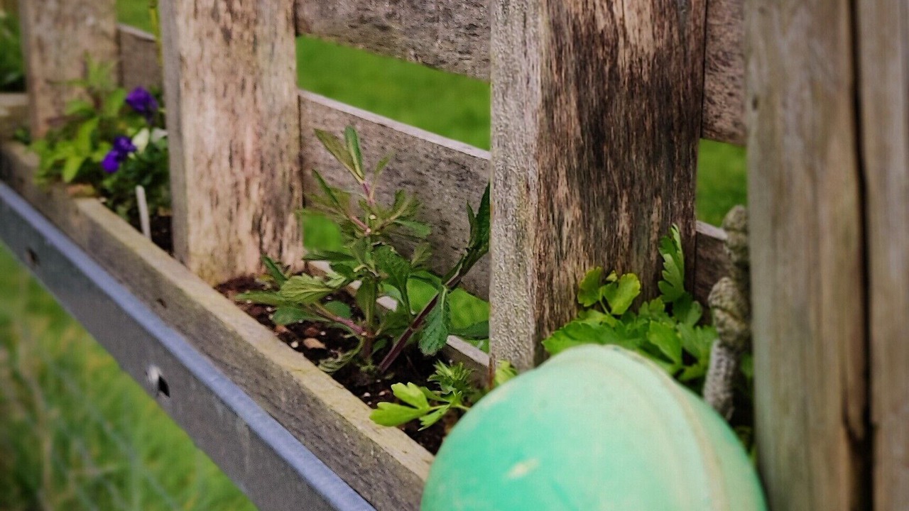 Photo of Outdoor in Treator