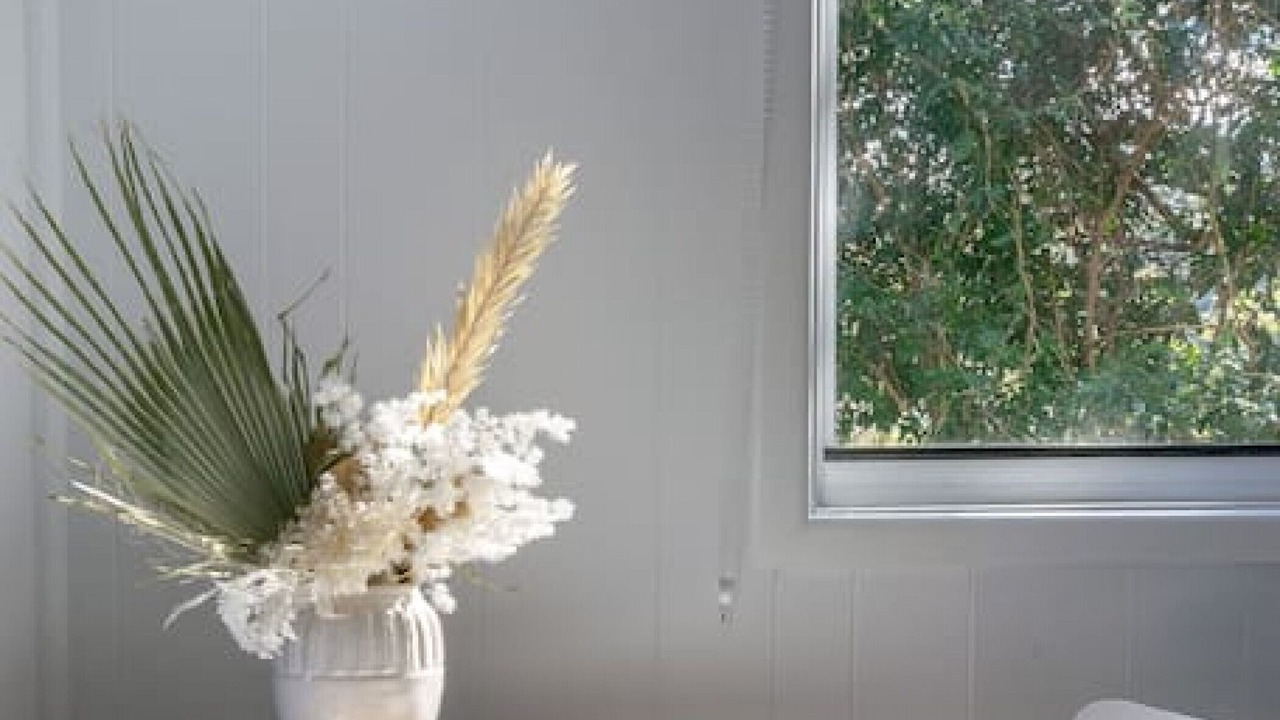 Photo of Others in North Narrabeen