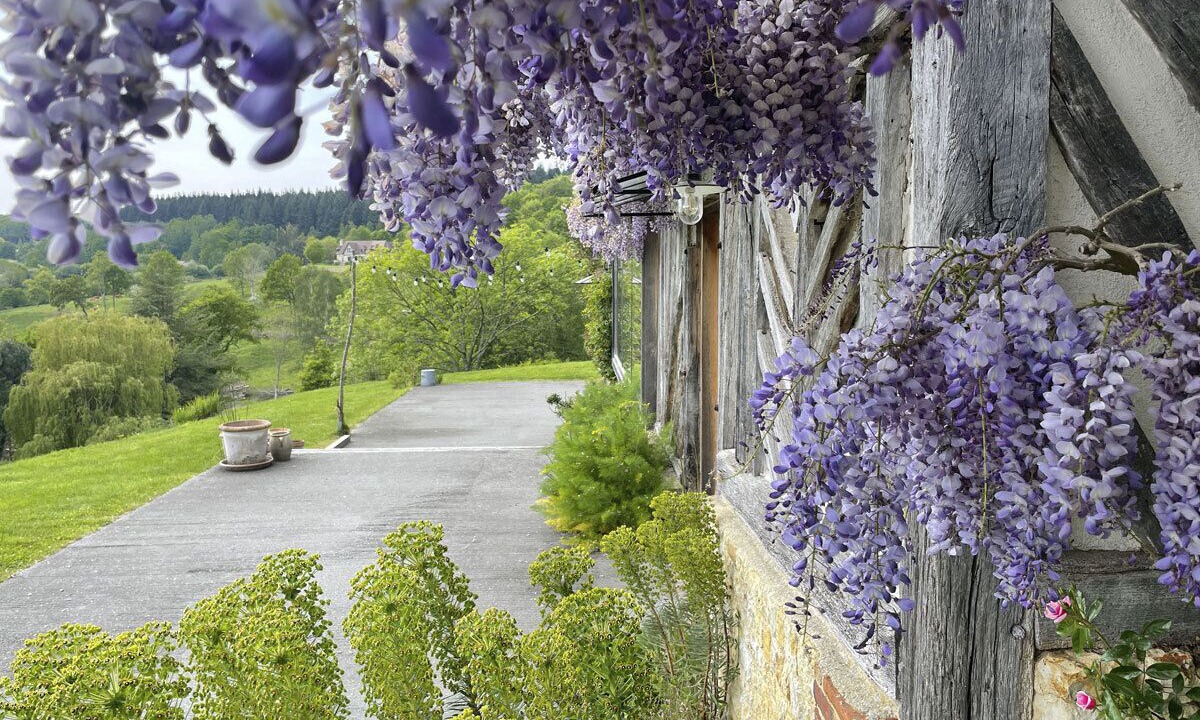 Photo of Outdoor in Vieux-Bourg