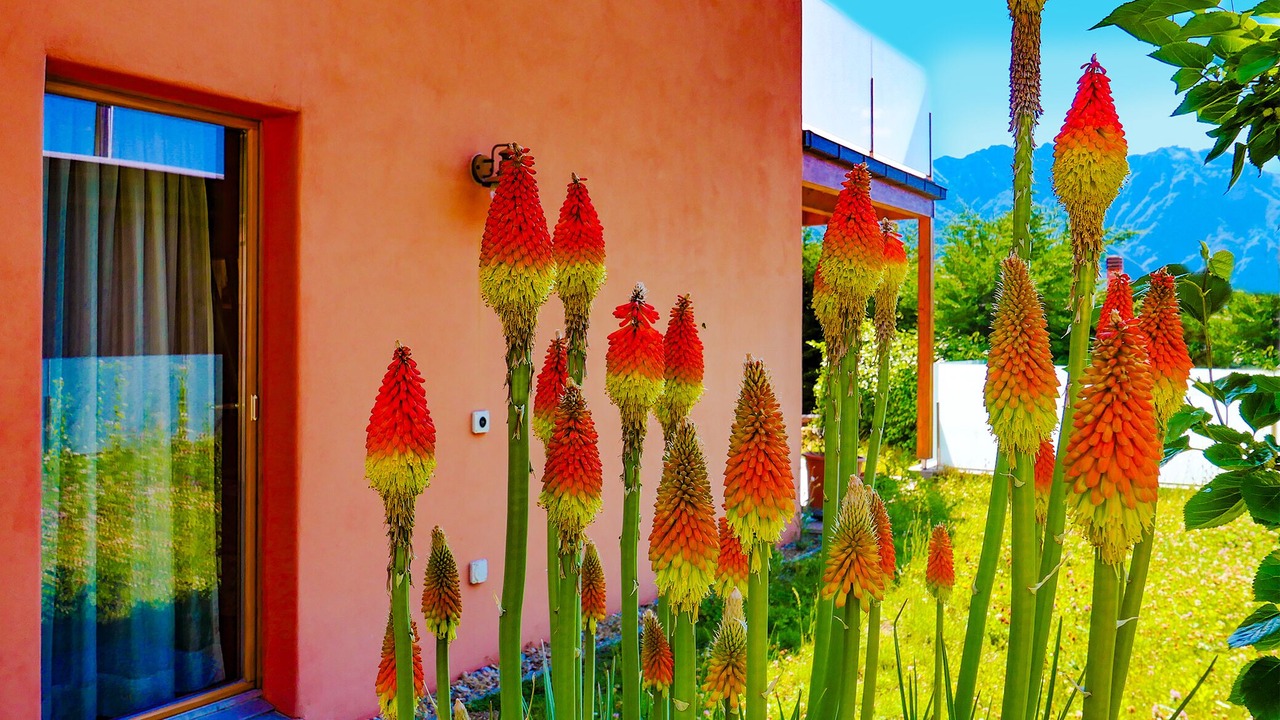 Photo of Outdoor in Carona