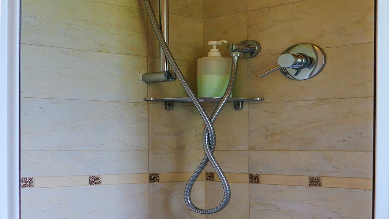 Photo of Bathroom in Carona