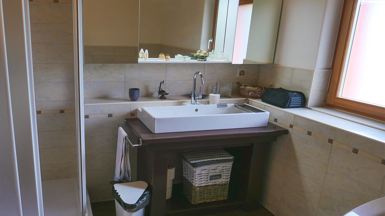 Photo of Bathroom in Carona