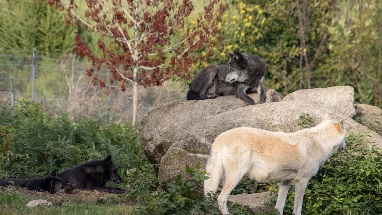 Photo of Others in Anzeme