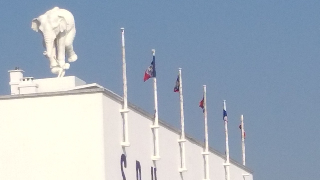 Photo of Others in Downtown Le Havre