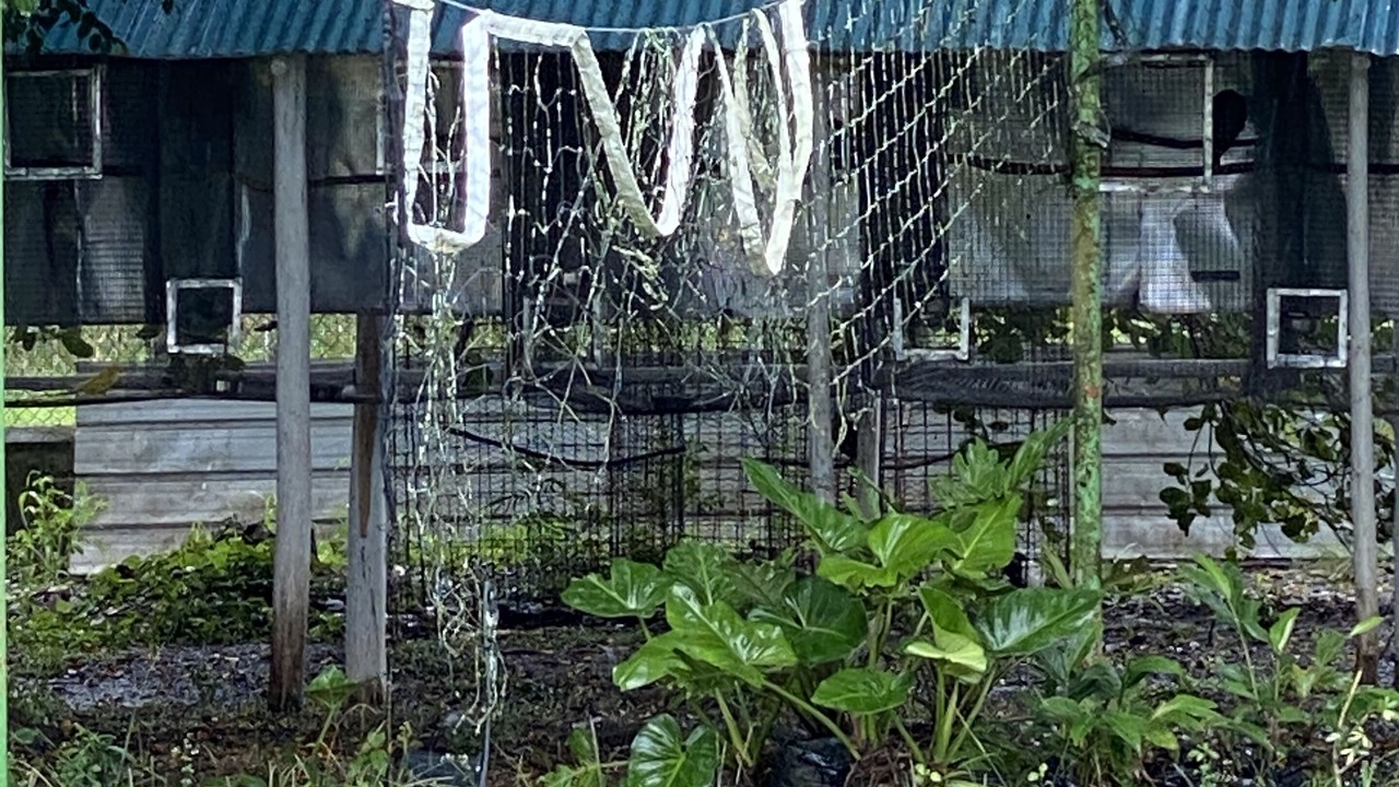 Photo of Outdoor in Bayaguana