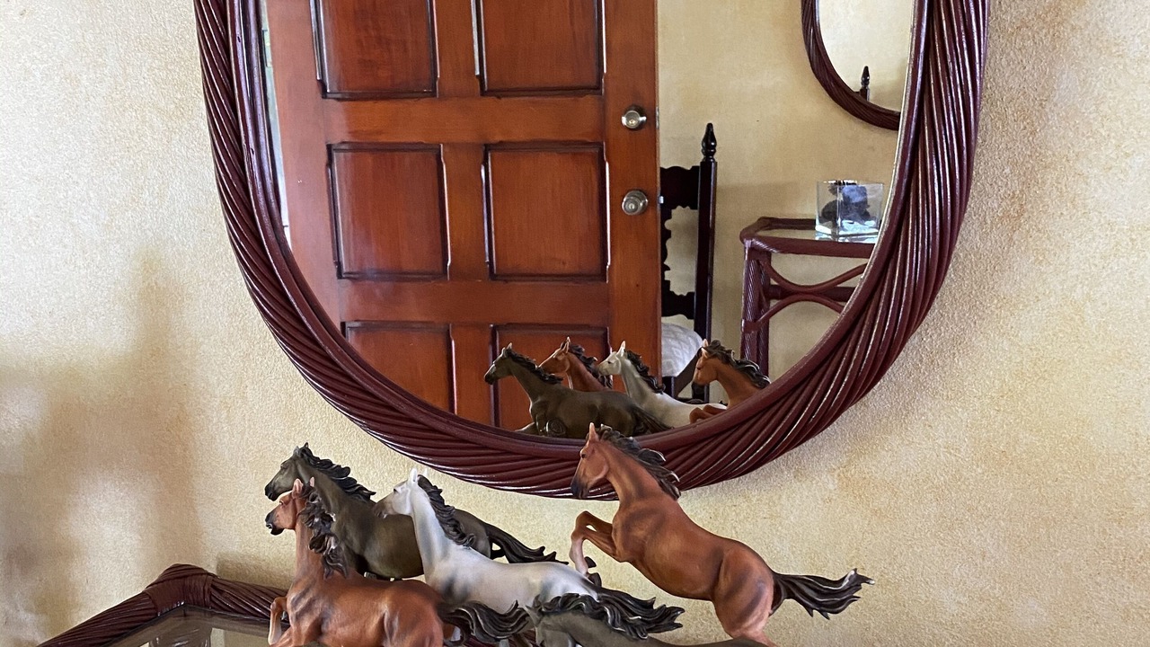 Photo of Others in Bayaguana