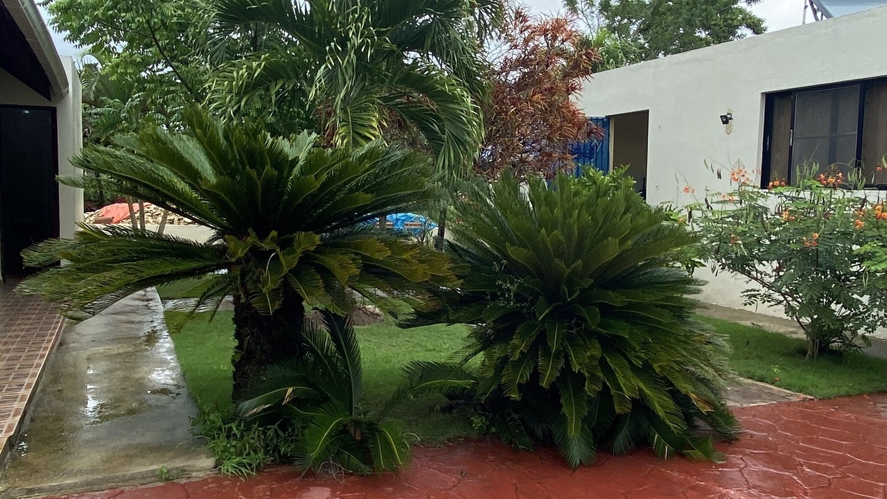 Photo of Outdoor in Bayaguana