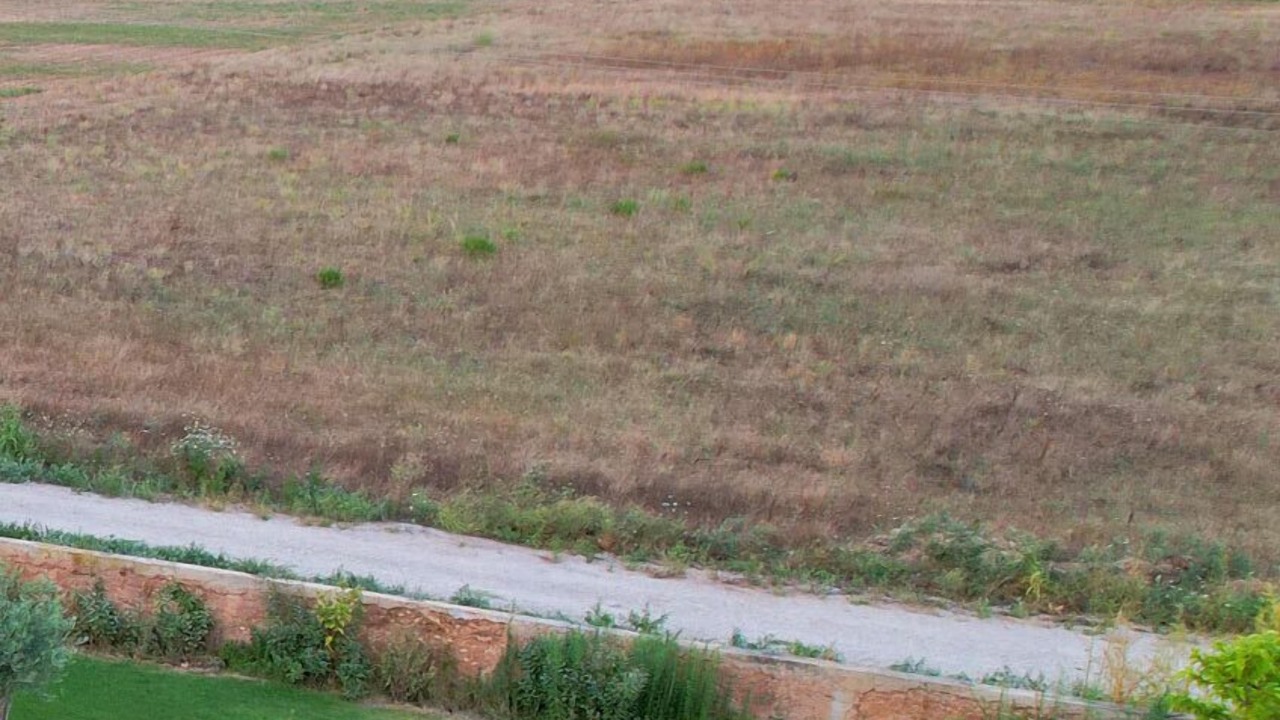 Photo of Outdoor in Vestric-et-Candiac