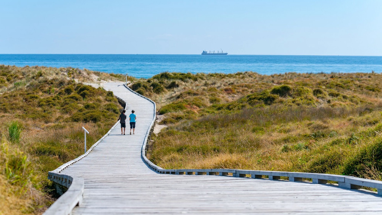 Photo of Others in Papamoa Beach