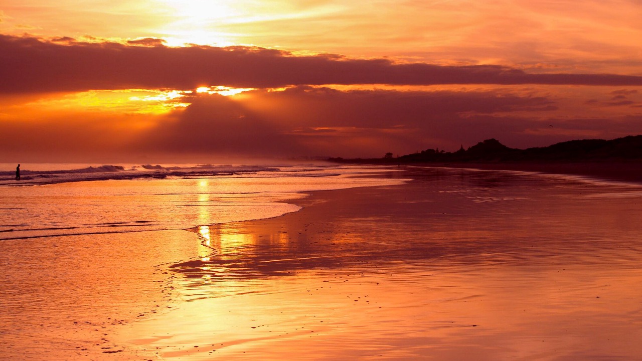 Photo of Others in Papamoa Beach
