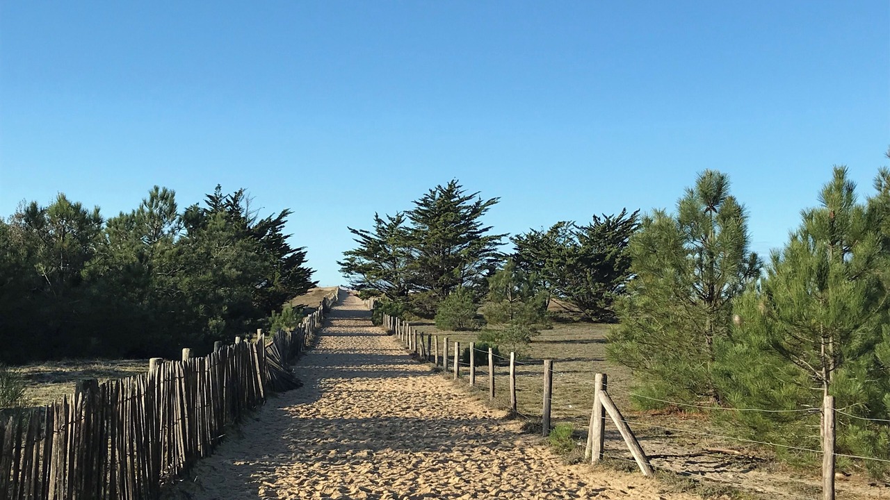 Photo of Outdoor in La Turballe