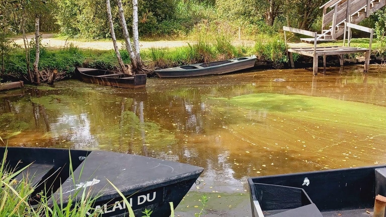 Photo of Outdoor in La Turballe