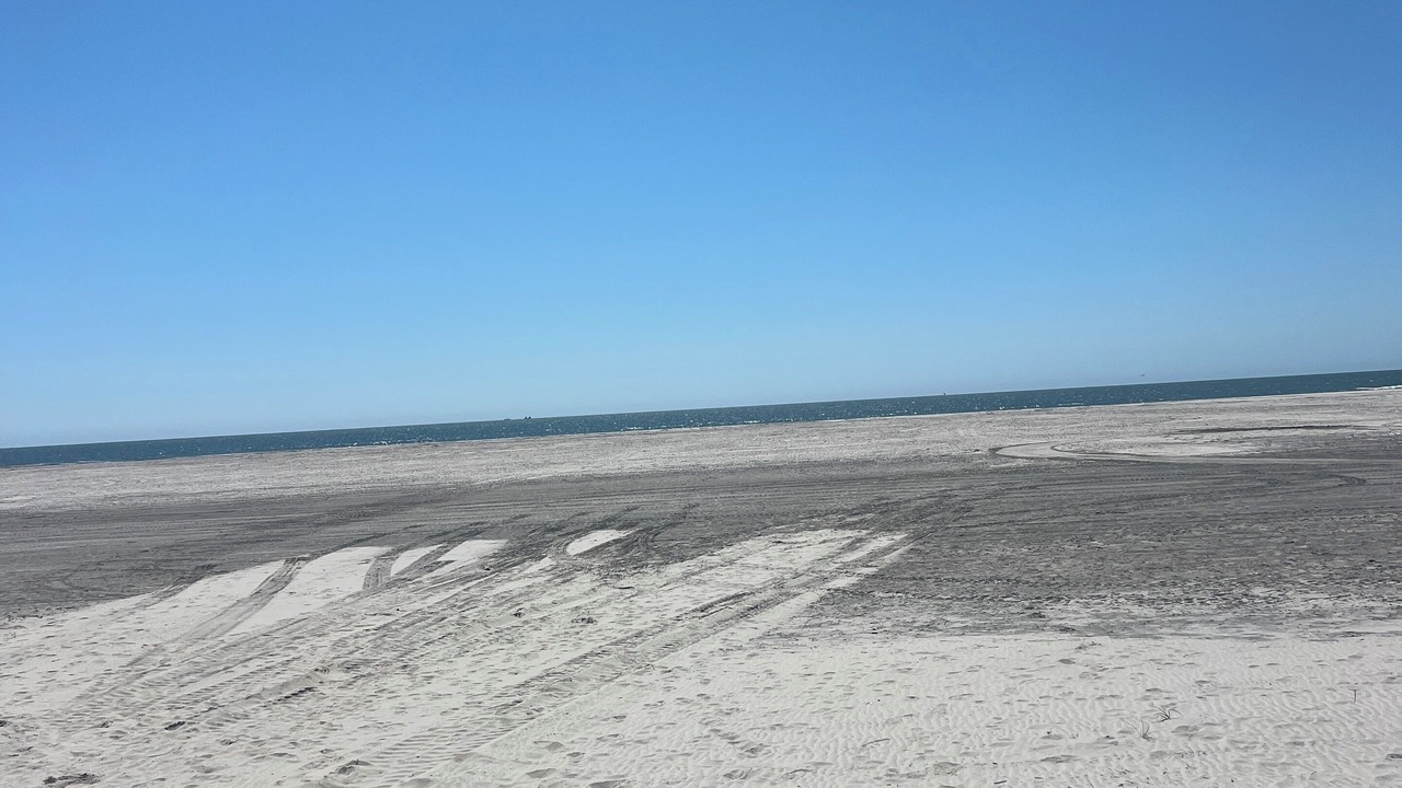 Photo of Others in Southend